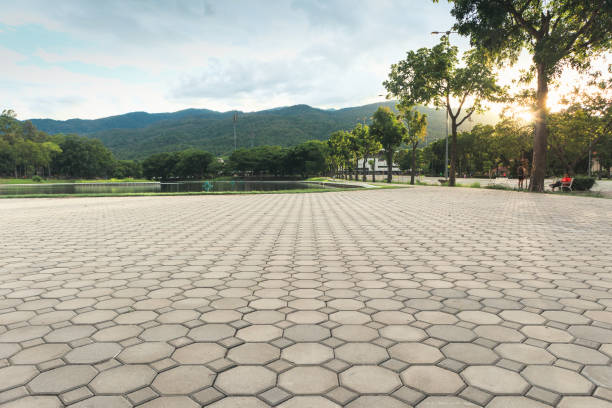 Best Driveway Paver Sealing  in Monticello, IA